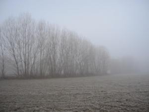 Descarga 30-12-2012 217