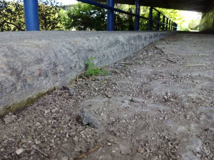 Tunel-4-detalle-altura-parte-lisa-parte-rugosa