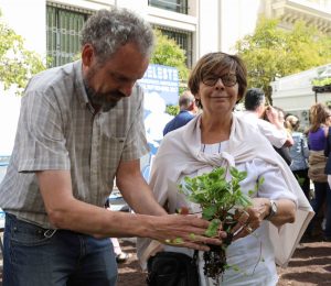 Parking Day - Inés Sabanés (foto del Ayuntamiento)